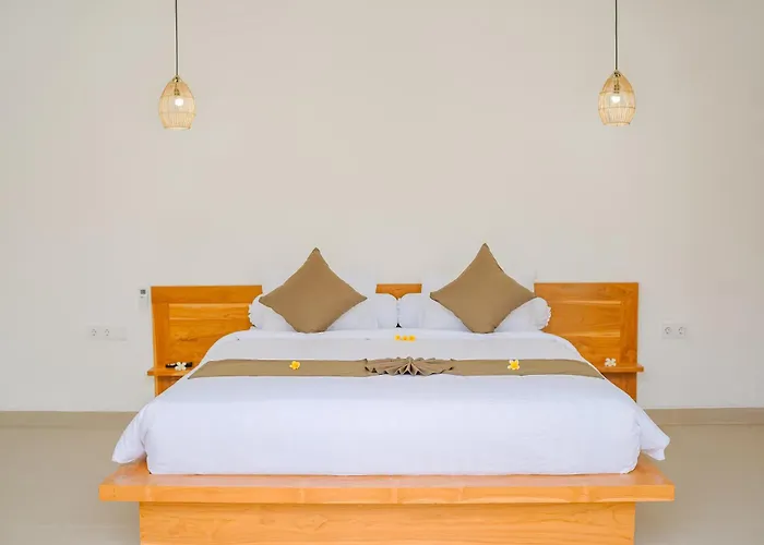 Dolphin - New Luxury In Centre & Near The Lovina