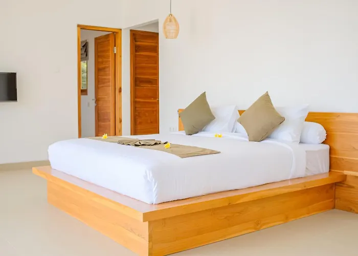 Dolphin - New Luxury In Centre & Near The Lovina