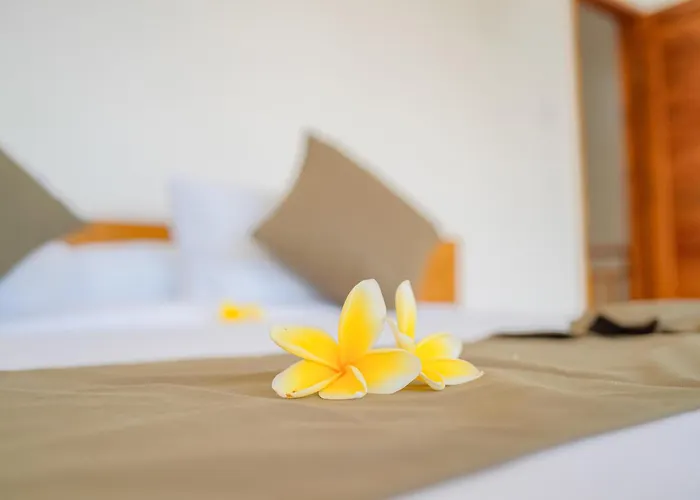 Dolphin - New Luxury In Centre & Near The 4*