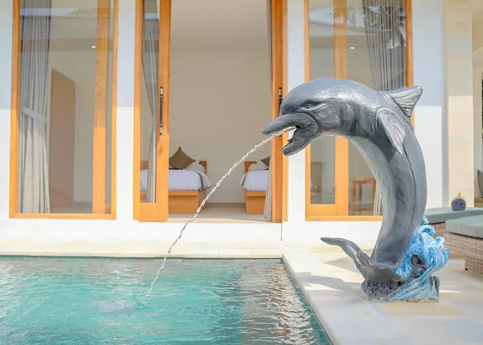 Dolphin - New Luxury In Centre & Near The Lovina